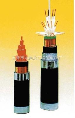 KVV、KVV22、KVV32控制電纜規格型號詳解與國家標準的遵循——以天津市電纜總廠橡塑電纜廠為例