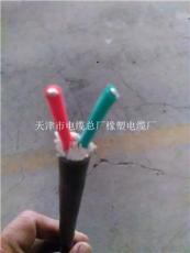 天津市電纜總廠橡塑電纜廠控制電纜產品展示